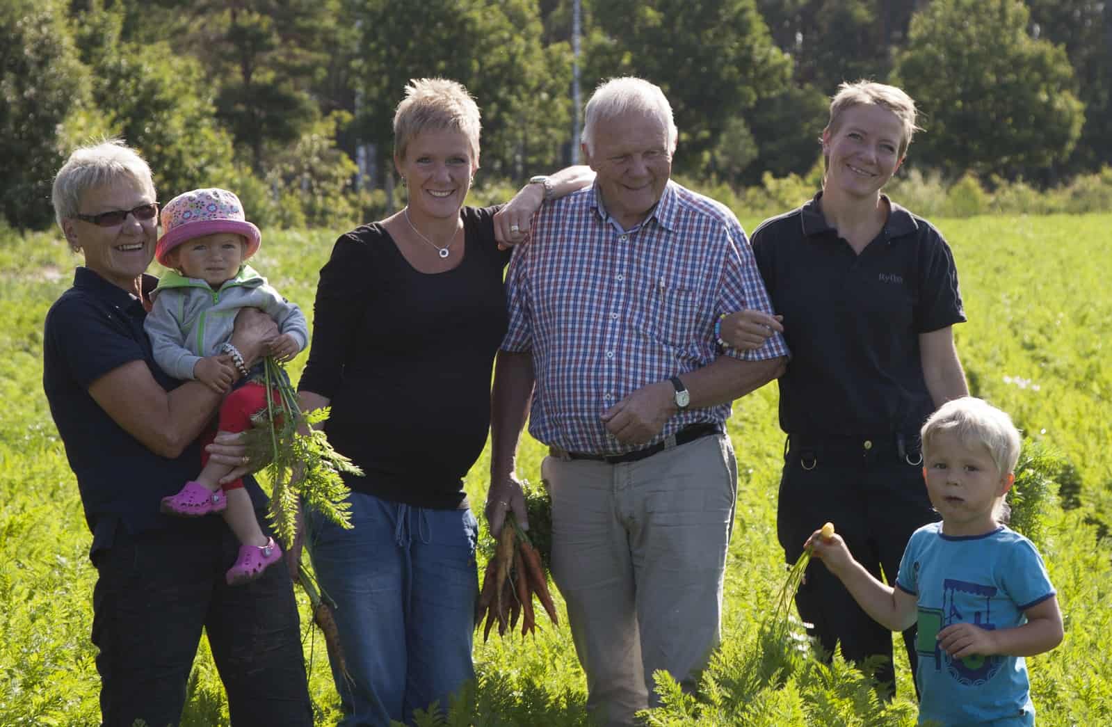 Ryftes rotfrukter Familjen